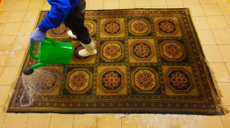 How to Clean Carpets and Rugs Without Vacuum